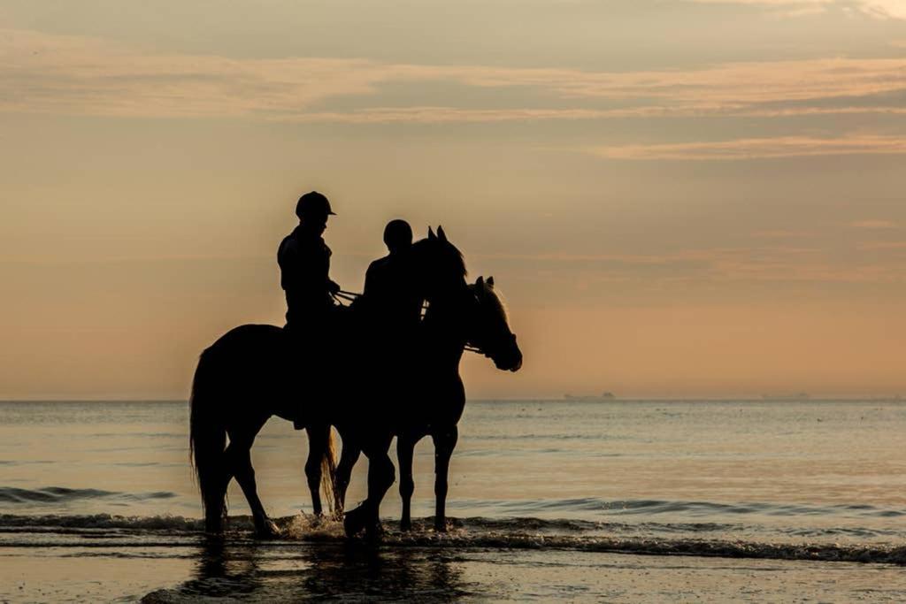 Hoekje Up Katwijk aan Zee Екстериор снимка