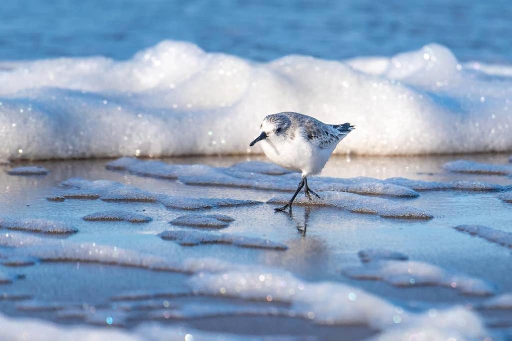 Hoekje Up Katwijk aan Zee Екстериор снимка